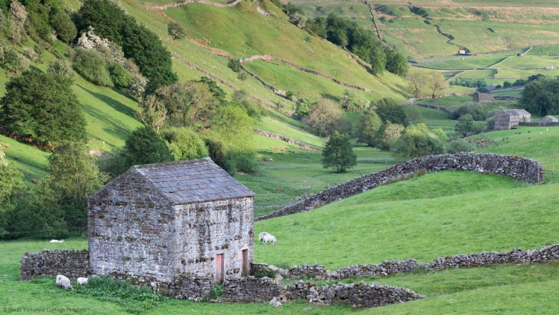 Stone Cottage In Picturesque North Yorkshire Village - Bull Dog Cottage Ampleforth Eksteriør billede